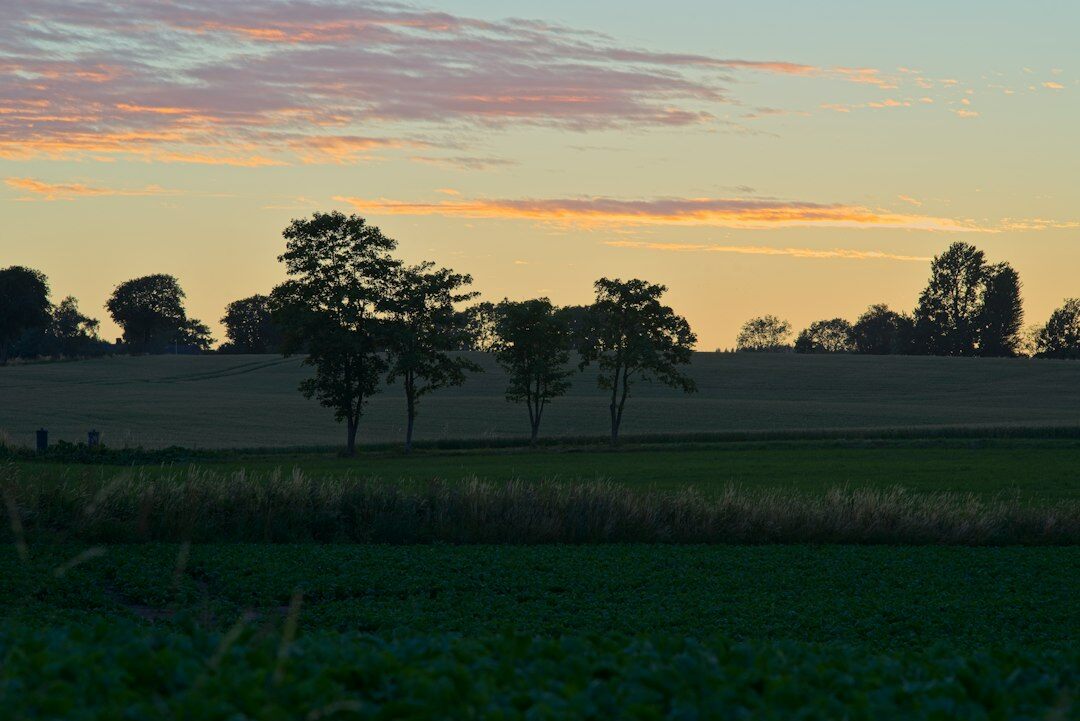 danish countryside photography