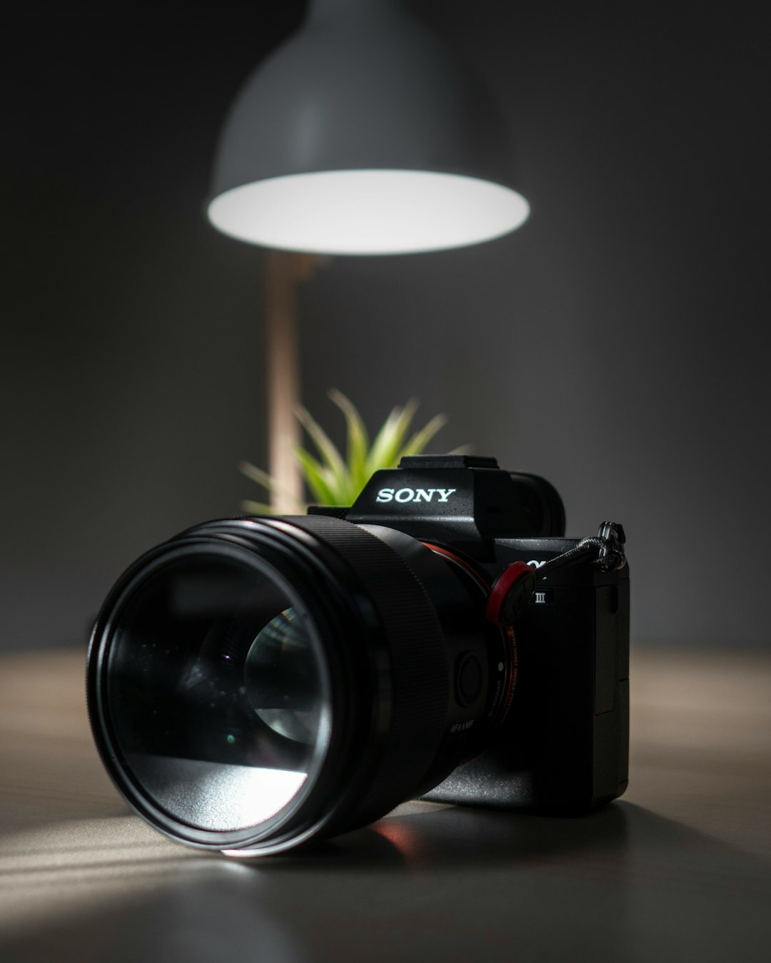 Professional camera lenses and lighting equipment on a studio table