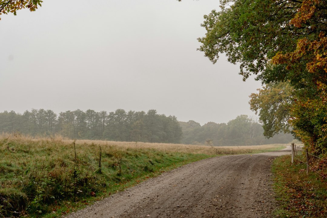farmer in field denmark